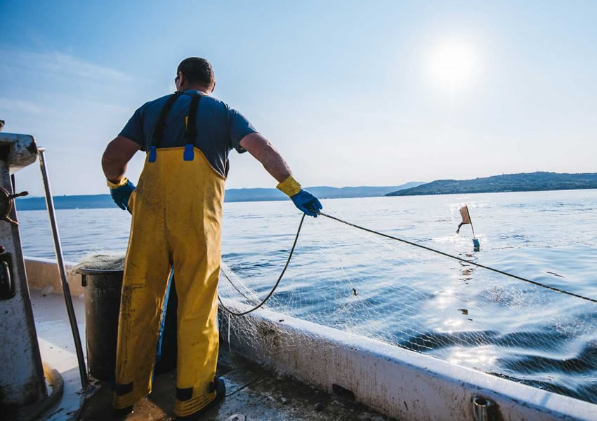 El Gobierno aprueba el proyecto de ley de pesca sostenible, que busca un uso más flexible de las cuotas pesqueras