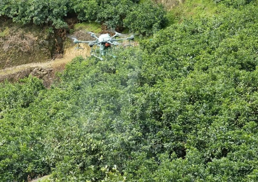 Drones DJI AGRAS Transforman la Agricultura de Naranjas Navel: Aumento de Productividad y Ahorro en Costos